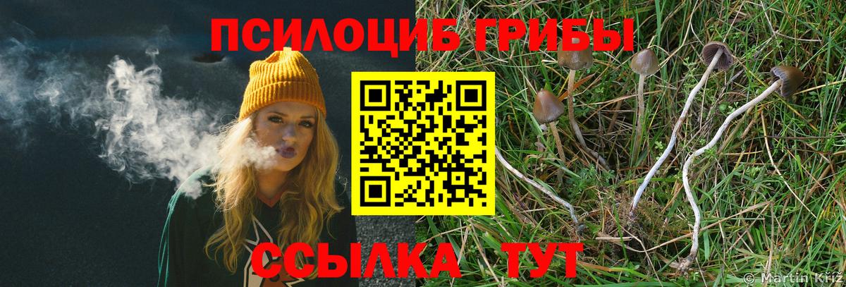 Псилоцибиновые грибы ЛСД  купить наркотик  Ефремов  Вход с VPN 